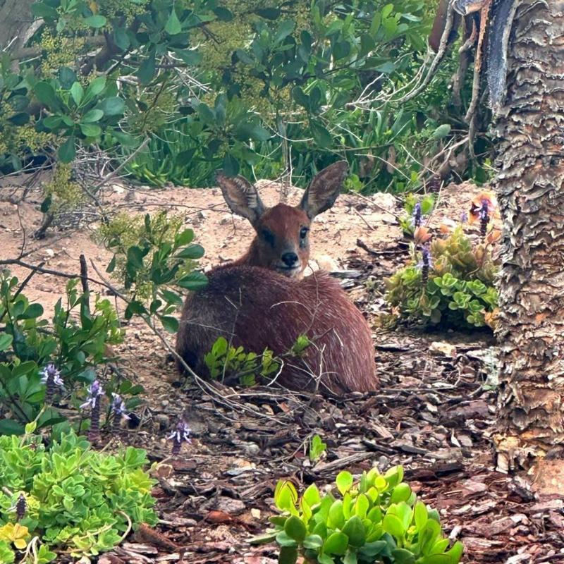 4 Bedroom Property for Sale in Pinnacle Point Golf Estate Western Cape